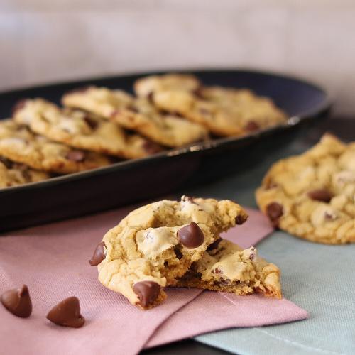 Chocolate Chipper Champs